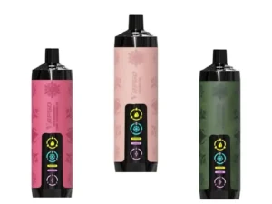 VAPGO Chill Shisha 30K Ice Control Disposable Vapes (0.6% 30,000 Puffs)