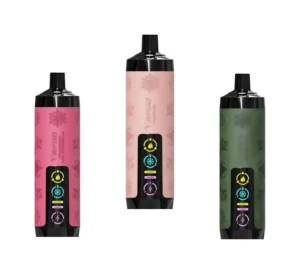VAPGO Chill Shisha 30K Ice Control Disposable Vapes (0.6% 30,000 Puffs)