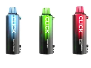Pyne Pod Click 40K Disposable Vapes Pod (Requires Kit for Use)