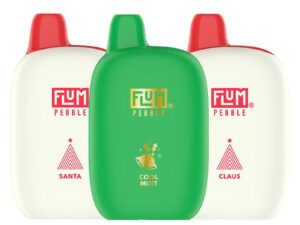 Flum Pebble Disposable Vapes (5%, 6000 Puffs).