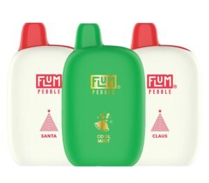Flum Pebble Disposable Vapes (5%, 6000 Puffs).