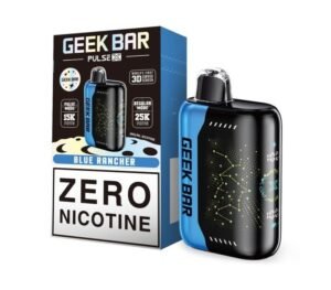 Geek Bar Pulse X 25K