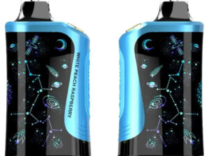 Rodman MVP 65K Ice Control Disposable Vapes (5%, 65000 Puffs)