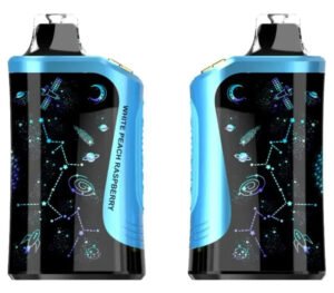 Rodman MVP 65K Ice Control Disposable Vapes (5%, 65000 Puffs)