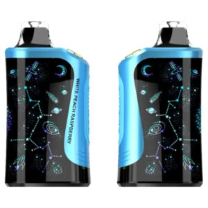 Rodman MVP 65K Ice Control Disposable Vapes (5%, 65000 Puffs)