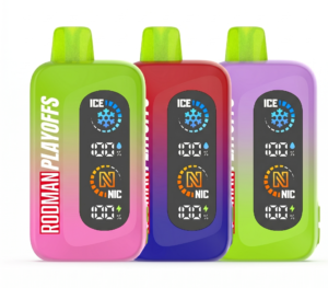 RODMAN Playoffs 50K Disposable (5%, 50000 Puffs)